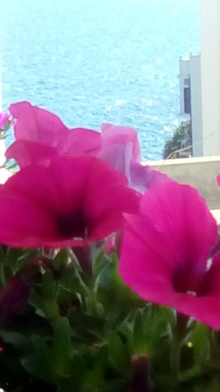 Tra Le Mura Polignano a Mare Εξωτερικό φωτογραφία