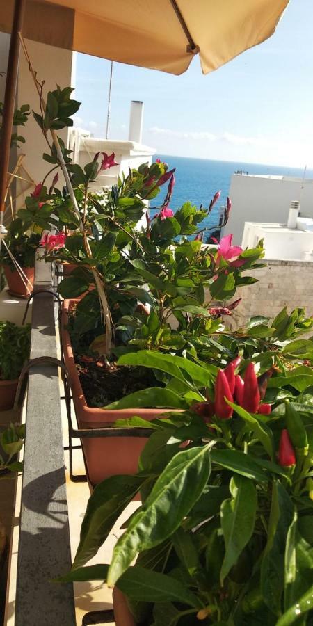 Tra Le Mura Polignano a Mare Εξωτερικό φωτογραφία